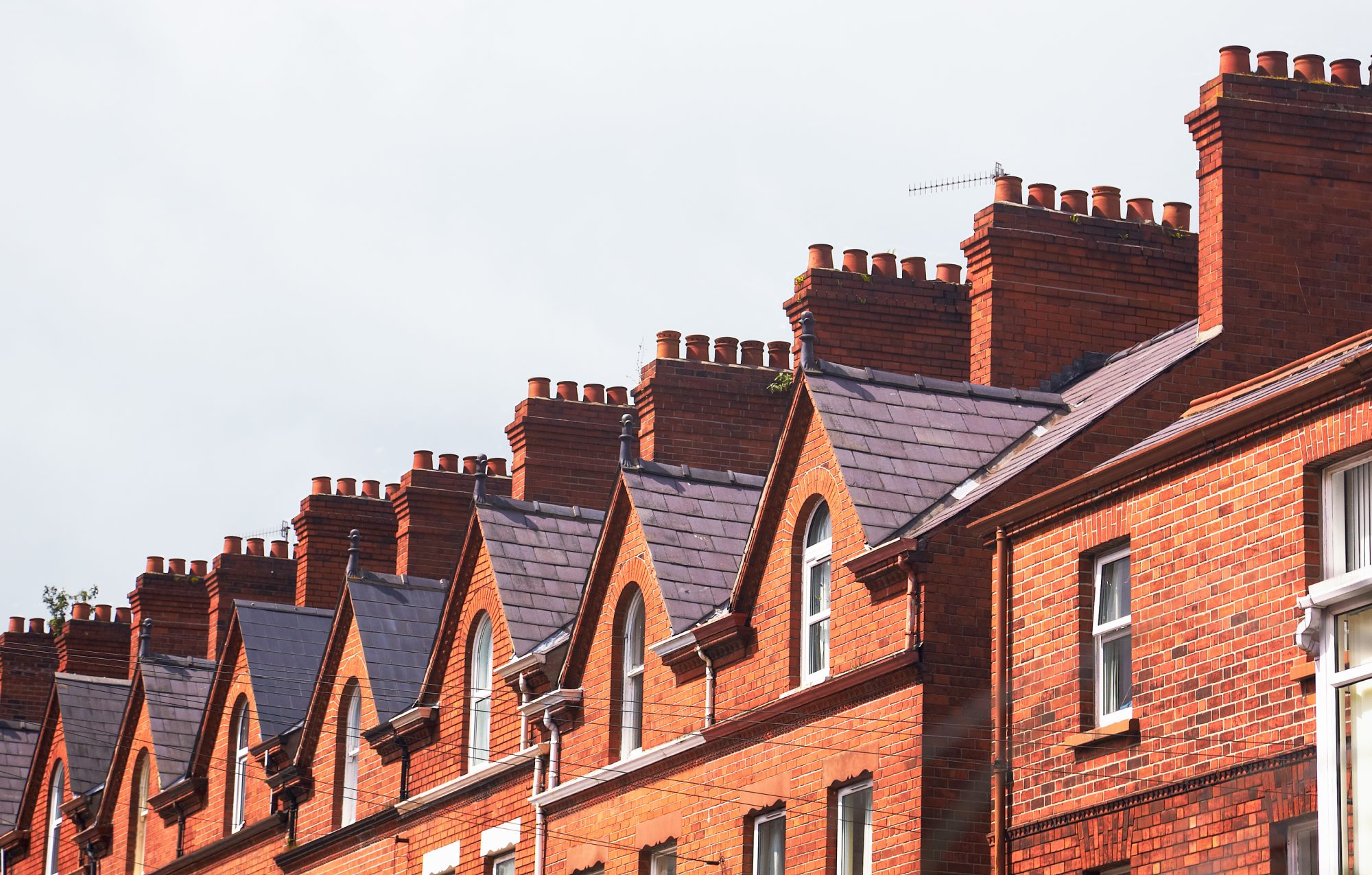 Belfast Roofs 1